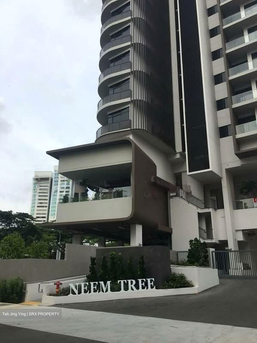 Neem Tree (D12), Apartment #553580321